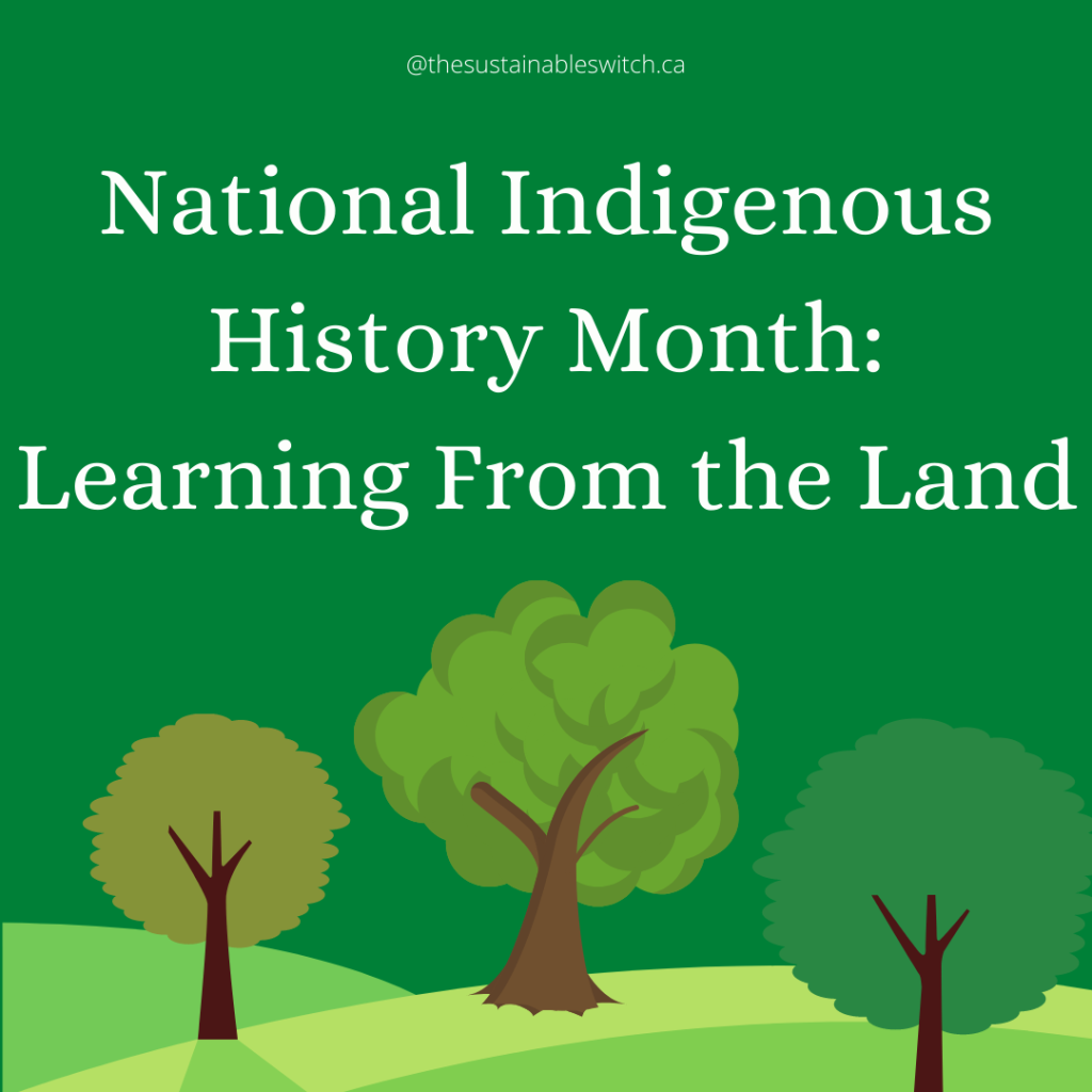 National Indigenous History Month: Land-Based Learning