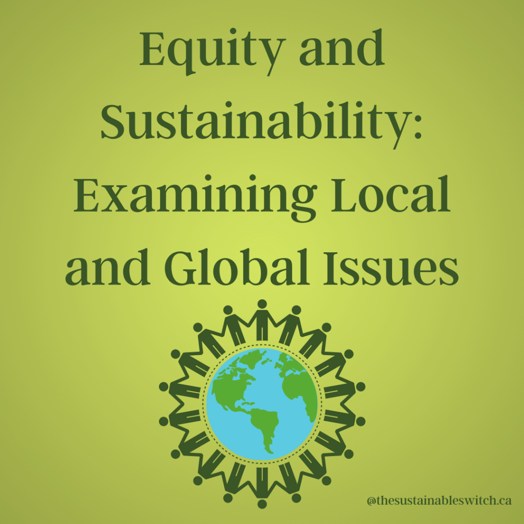 Equity and Sustainability: Examining Local and Global Issues